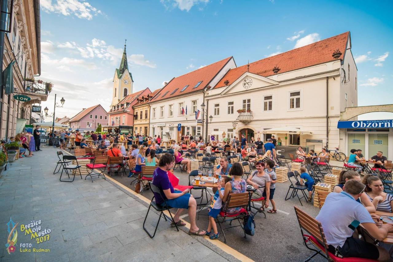Hotel Cateski Dvorec Catez ob Savi Exterior photo