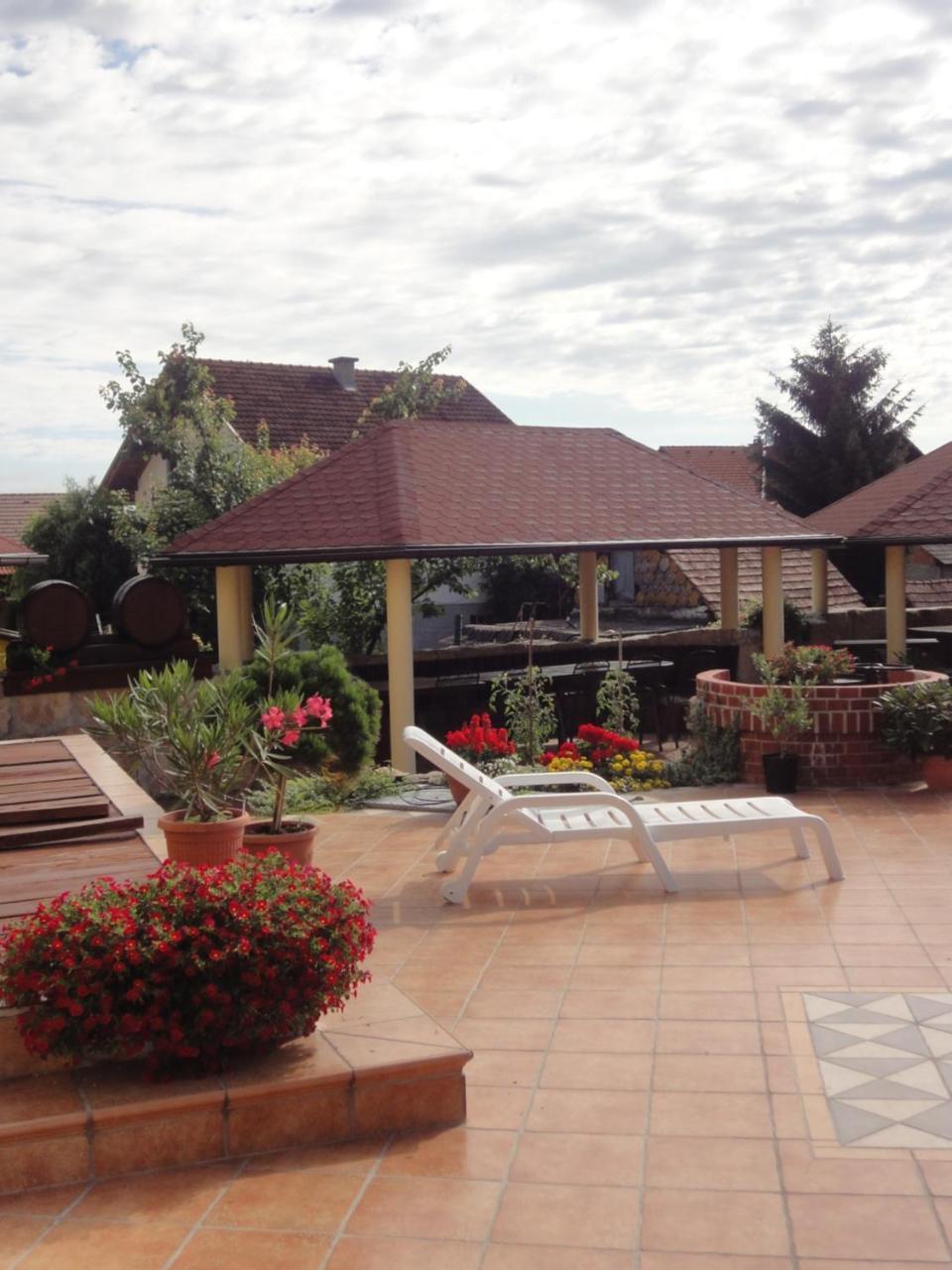 Hotel Cateski Dvorec Catez ob Savi Exterior photo